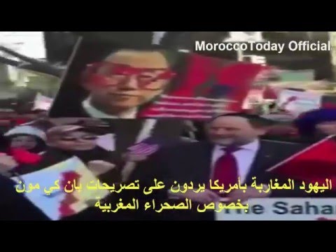 بالفيديو اليهود المغربيون يدافعون علي المغرب و الصحراء المغربية