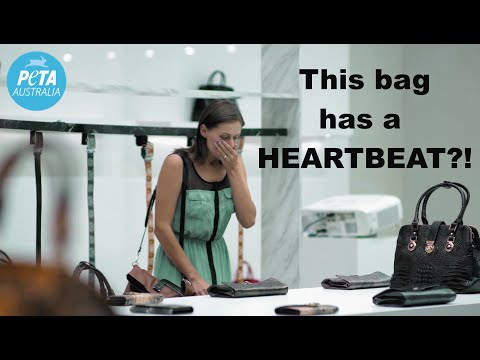 بالفيديو وراء كل حقيبة فاخرة جثة حيوان لا ذنب له