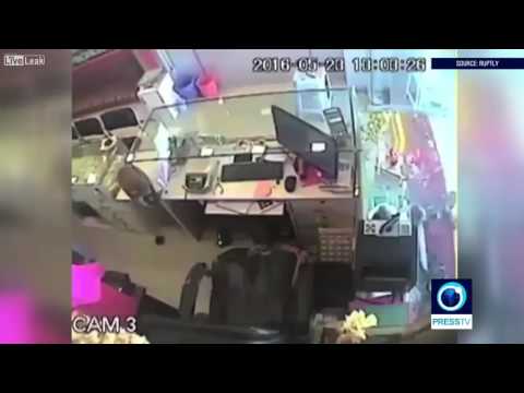 قرد يسرق متجر مجوهرات بنجاح