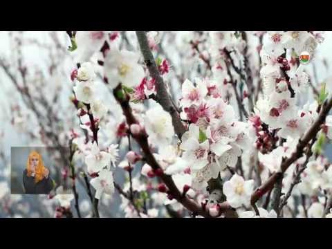 فيديو هذه القرية العربية ستصوم 3 ساعات فقط