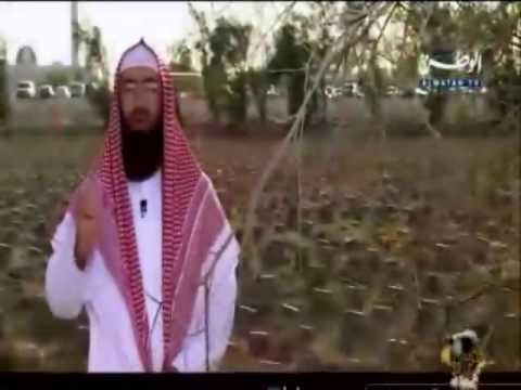 بالفيديو مراحل ما بعد الموت