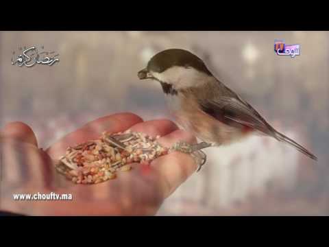 بالفيديو شاهد  أهمية الصدقة في رمضان