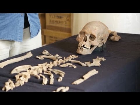 اكتشاف عظام تعود إلى ما قبل الغزو الإسباني في المكسيك