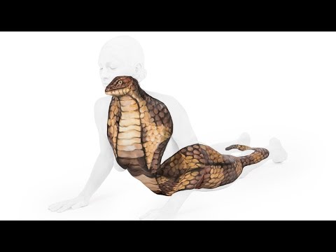 بالفيديو   فنانة تحول أجساد البشر إلى أشكال حيوانية