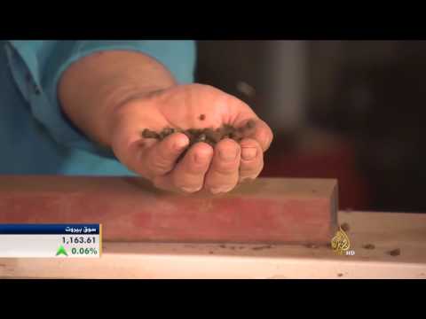 تركيا تنتج السماد العضوي من مخلفات ديدان الطين