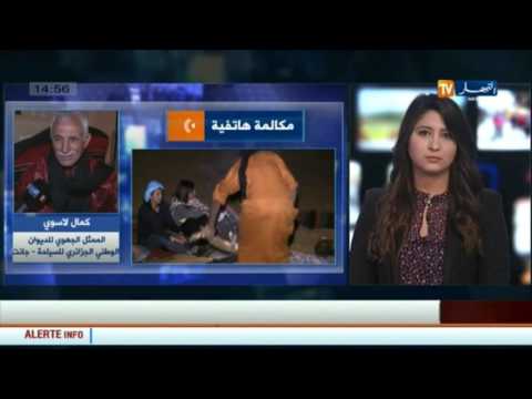 ممثل عن الديوان الوطني يكشف أسباب الاهتمام بالسياحة الصحراوية