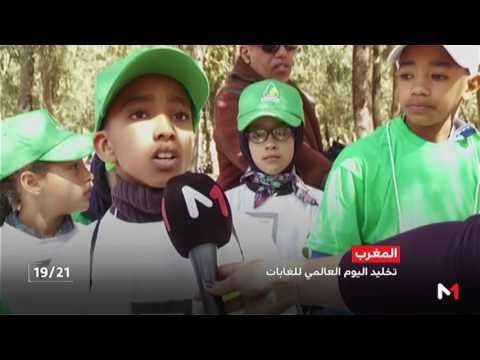 شاهد نشاط بيئي رائع  في بوسكورة