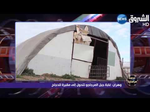 غابة جبل المرجاجو في وهران