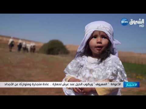 شاهد المعروف وركوب الخيل عند عرش لحمازة