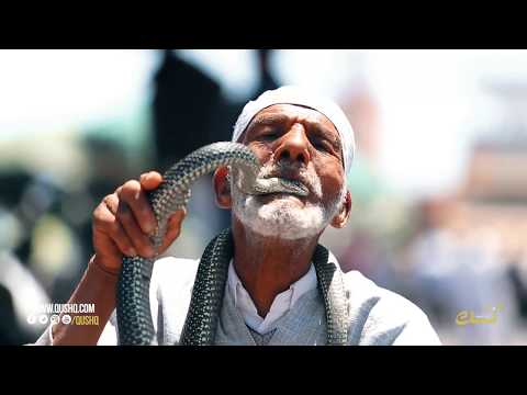 شاهد مروض أفاعي في جامع الفنا يكشف أسرار المهنة