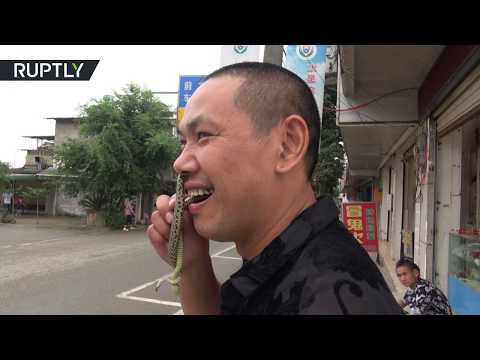 أستاذ في رياضة كونغ فو يمرر أفعى سامة عبر أنفه وفمه