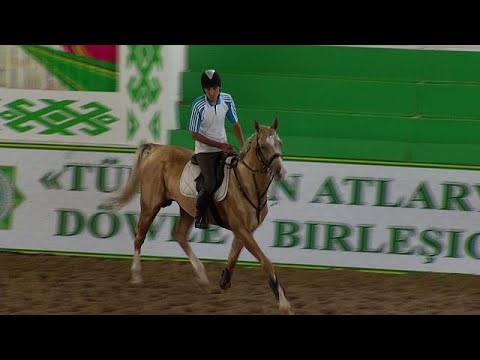 مهد الأكحلتيكي فخر الخيول العالمية