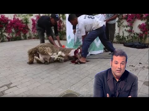 شاهد الفنان غاني يذبح أضحية العيد وسط عائلته