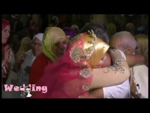 شاهد ثور هارب ينتقم من ضابط أطلق عليه سهمًا مهدئًا