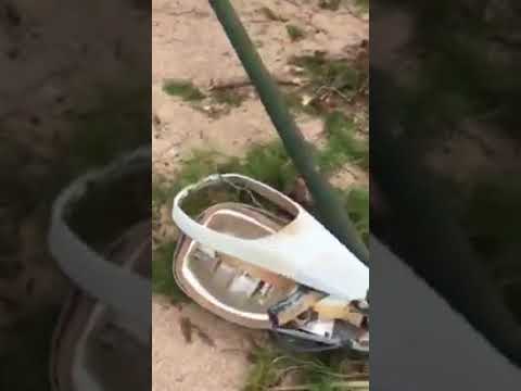 شاهد رياح قوية في مدينة الحاجب تقتلع الأشجارالعملاقة من جذورها