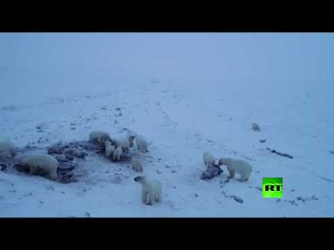 بعد انسحاب حزبين كبيرين من مشاورات التشكيل