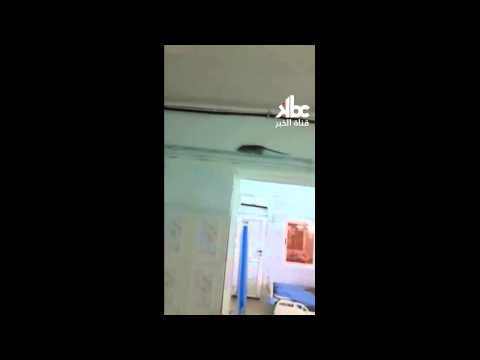 شاهد جرذ يتجول داخل مستشفى محمد بوضياف في ورقلة