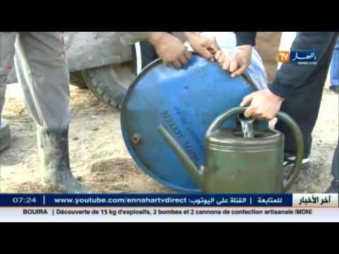 شاهد تعرَف على أهم الأخبار في الجزائر