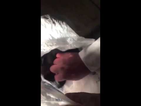 خادمة تجمع الشعر من المنازل لاستخدامه في السحر