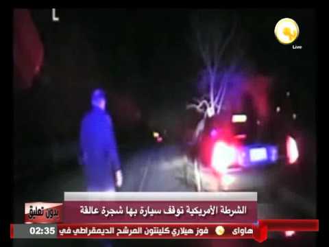 الشرطة الأميركية توقف سيارة بها شجرة عالقة