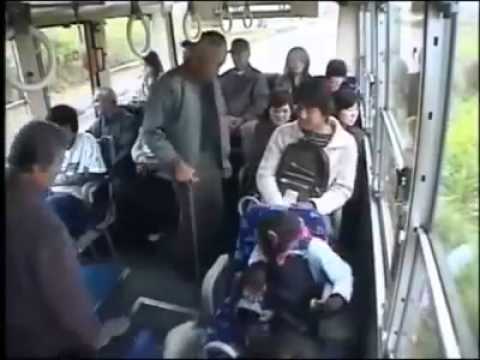 بالفيديو قرد يتخلَّى عن مقعده حينما شاهد امرأة مسنة في الحافلة