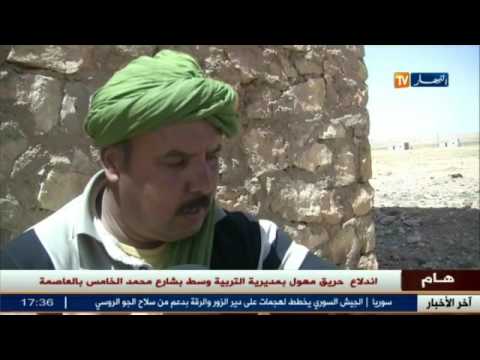 أخر أخبار قضايا المجتمع الجزائري  294